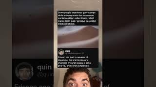 Goosebumps music