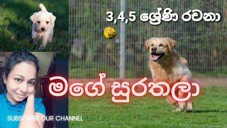 මගේ සුරතලා | බල්ලා | mage surathala | 3,4,5 rachana | 3,4,5 ශ්‍රේණි රචනා| my pet| scholarship essay