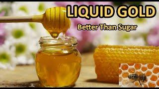 The Wonder of Honey: Nature’s Sweet Gold