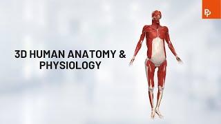 Primal Pictures 3D Human Anatomy & Physiology