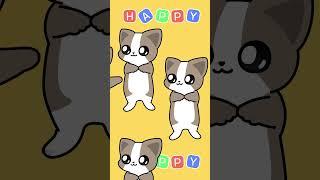 Happy cat going crazy(flash warning)
