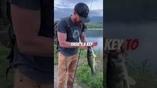 Bad Advice Pros Say For Finding Bass to catch #bassfishing