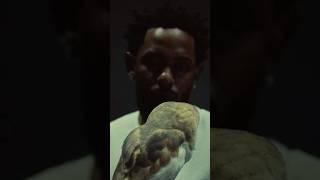 MOST UNEXPECTED Pets Rappers Own! 