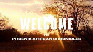 Welcome to Phoenix African Chronicles: Discover the Stories of Africa!