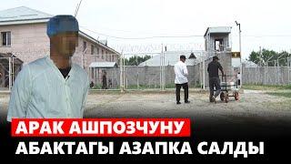 Арак ашпозчуну абактагы азапка салды // Абактагы тагдырлар