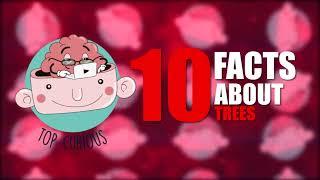 10 FACTS about TREES  Top Curious world #trendingshorts #viral #youtubeshorts #youtube