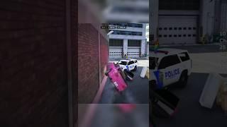 Classic GTARP Cops... 