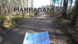 Harpagan 55, TP50 (walk/run 50km), Choczewo [4K]