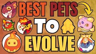 The BEST Pets to Evolve in Prodigy! Part 2 | Prodigy Math Game