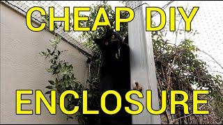 How to Build a Massive and Cheap Cat Enclosure with Basic Tools  - DIY Tutorial