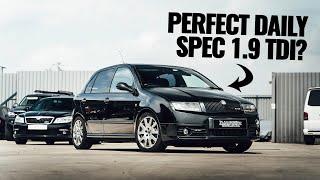 Skoda Fabia vRS 1.9PD  TDI - 193BHP Budget build