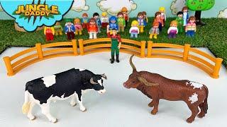 COW VS. BULLS BATTLE!! "Jungle Daddy" cow toys for kids schleich safari ltd mojo farm animals