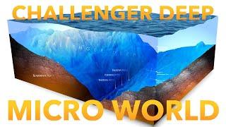 Challenger Deep as a Micro World