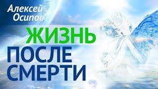 Как живёт душа ПОСЛЕ СМЕРТИ ? (ТК «Спас», 2017.04.27) — Осипов А.И.