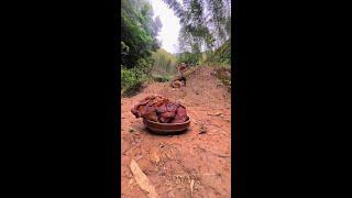 Emotional Puppy Demon Saint Chinese Pastoral Dog