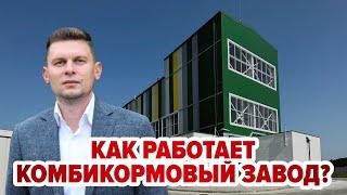 Как работает комбикормовый завод?