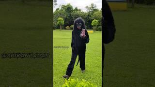 Gorilla  attack  prank scary fake Gorilla  prank on public#pranks #shorts #gorilla