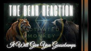 Bears And Trees | It Will Give You Goosebumps