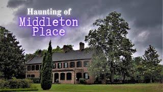 The Haunting of Middleton Place