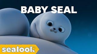 "Legend says Baby Seal is the Cutest"ㅣSEALOOKㅣEpisodes Compilation