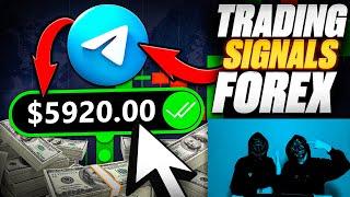 AMAZING TRADING SIGNALS  FOREX TRADING STRATEGY | BINARY OPTIONS SIGNALS | OTC TRADING