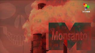 The Empire Files: Monsanto America's Monster - Part 1