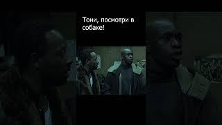 Посмотри в собаке! Большой куш #shorts #гоблин #кино #фильм #movie #youtubeshorts