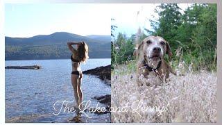 Meet Lenny - a dog we saved from death row in Texas | Summer days in BC