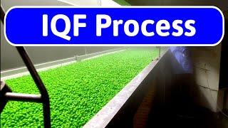 IQF Process | IQF Process of Vegetables | Food Processing | Frozen Food Processing | Ready To Eat |