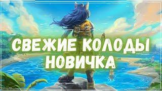 КОЛОДЫ НОВИЧКА ОБНОВЛЕНЫ В HEARTHSTONE! | ОСЕНЬ 2024 | РАЗДОР В ТРОПИКАХ #хс #хартстоун #hs