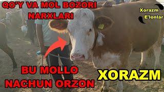 Urganch mol bozori 2021 // Урганч мол бозор