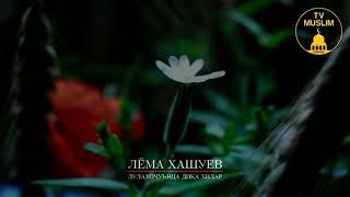 ЛЁМА ХАШУЕВ | ЛУЛАХОЧУЬНЦА ДИКА ХИЛАР.