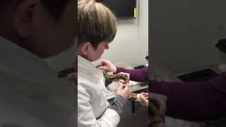 Snake Injection Demonstration - Winrose Animal Hospital