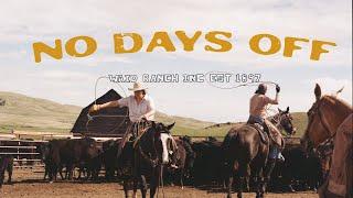 Traditional Cattle Branding In Central Montana - Waid Ranch est. 1897