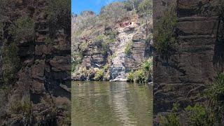 Would You Do This?????????#cliffjumping #yamba #shorts