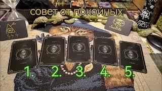 Гадание на таро. Совет с ТОГО СВЕТА. Покойные говорят!