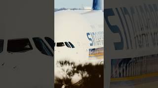 SINGAPORE A380 HEAD TO HEAD #airplane #flyinghigh #flying #aviation #planes