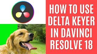 How to Use the Delta Keyer in DaVinci Resolve 18 [Quick Guide]