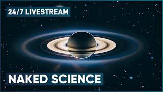 The Best Of Naked Science | 24/7 Livestream 🪐