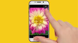 PlantSnap Android instructional video - landscape mode