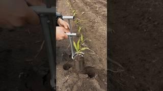 Smart gardening tool make planting easy