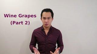 08 - Red Wine Grapes