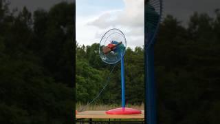 Duracraft Rainbow Pedestal Fan Dance #fan #pedestalfan #ventilador #fyp