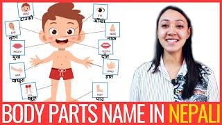 #28 Learn Nepali for Beginners | Name of BODY PARTS and useful Sentences | शरीरका अङ्गहरु