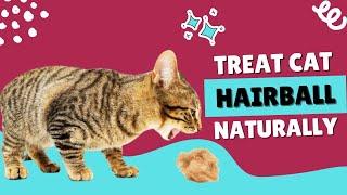 How to Treat Hairballs in Cats - Natural Remedies That Work