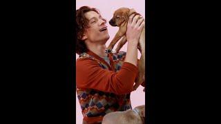 Puppy Interview... Marvel Edition! #MCU #puppyinterview
