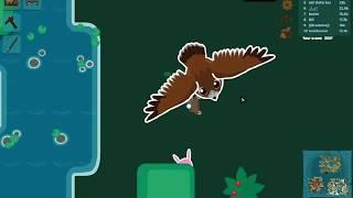 Starve.io - Hawk UPDATE! [Sad moment]