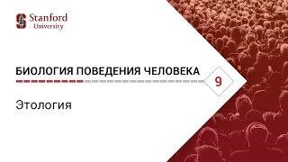 Биология поведения человека: Лекция #9. Этология [Роберт Сапольски, 2010. Стэнфорд]