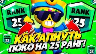 КАК АПНУТЬ ПОКО НА 25 РАНГ В СОЛО КАК ИГРАТЬ ЗА ПОКО В БРАВЛ СТАРС ГАЙД ЗА ПОКО