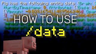 Minecraft Data Command [1.19] Tutorial